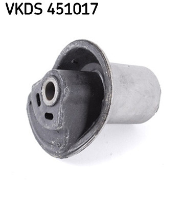 SKF Achskörper